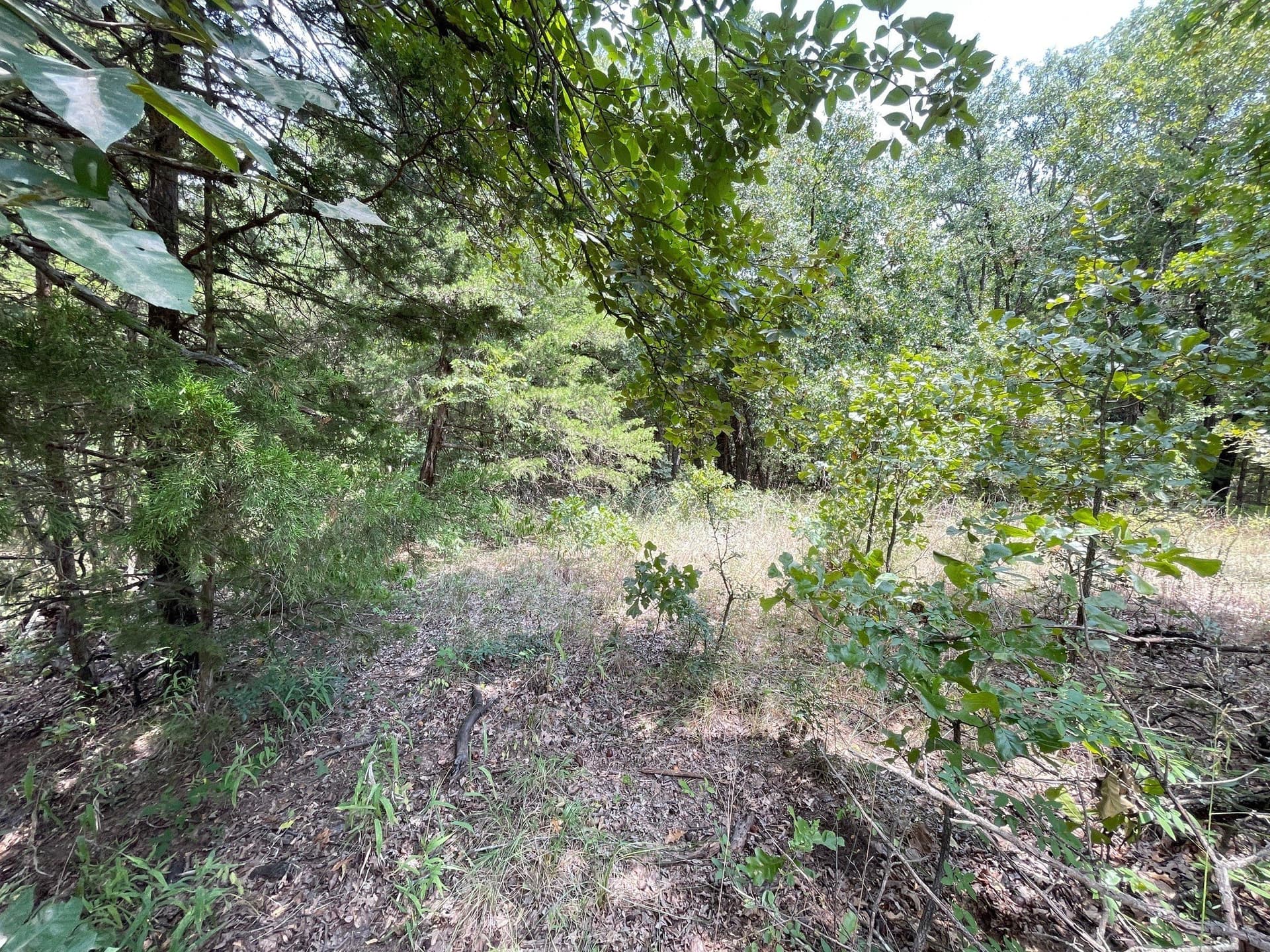 0.2 acres in Grayson County - photo 5