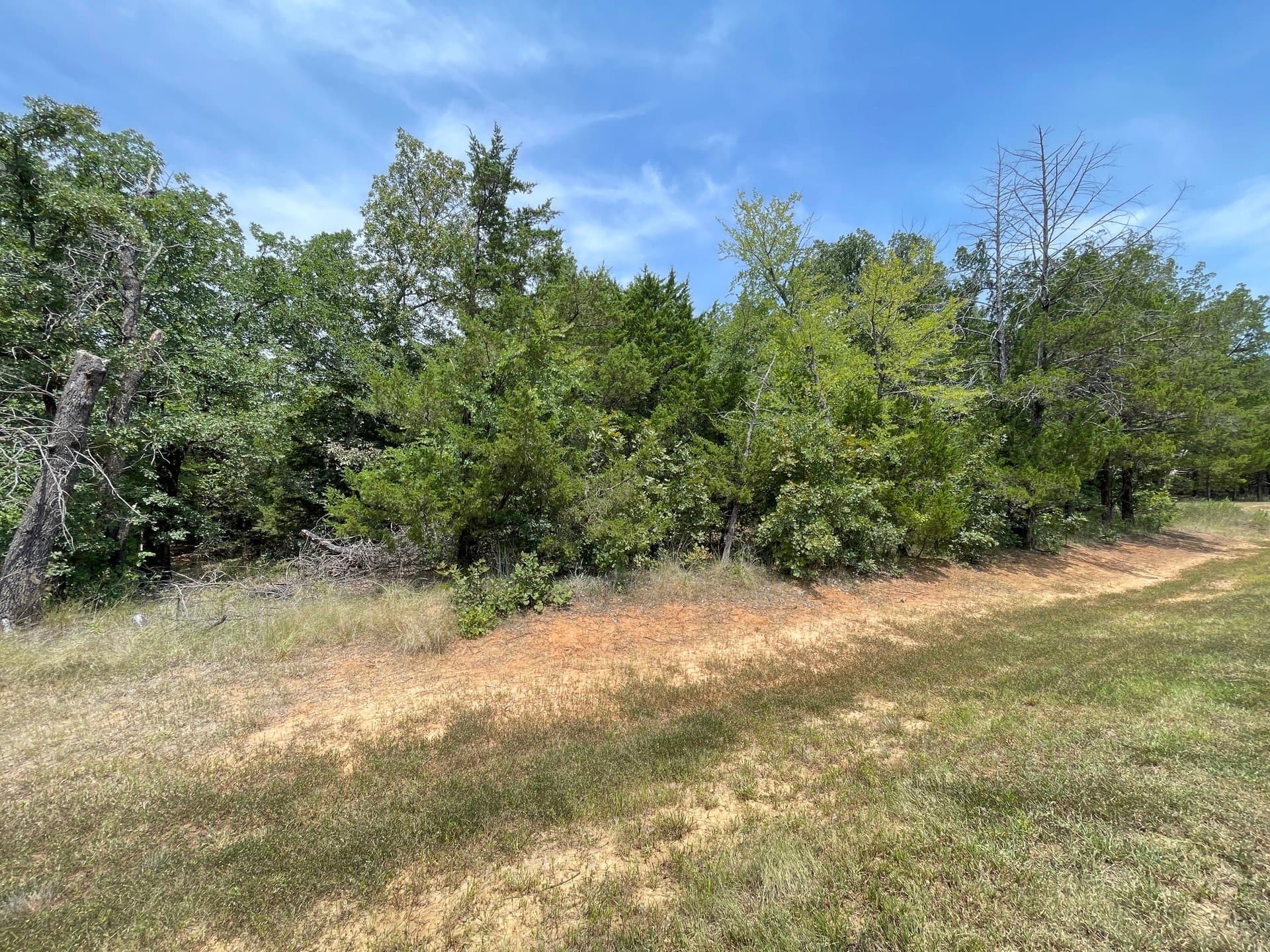 0.2 acres in Grayson County - photo 4