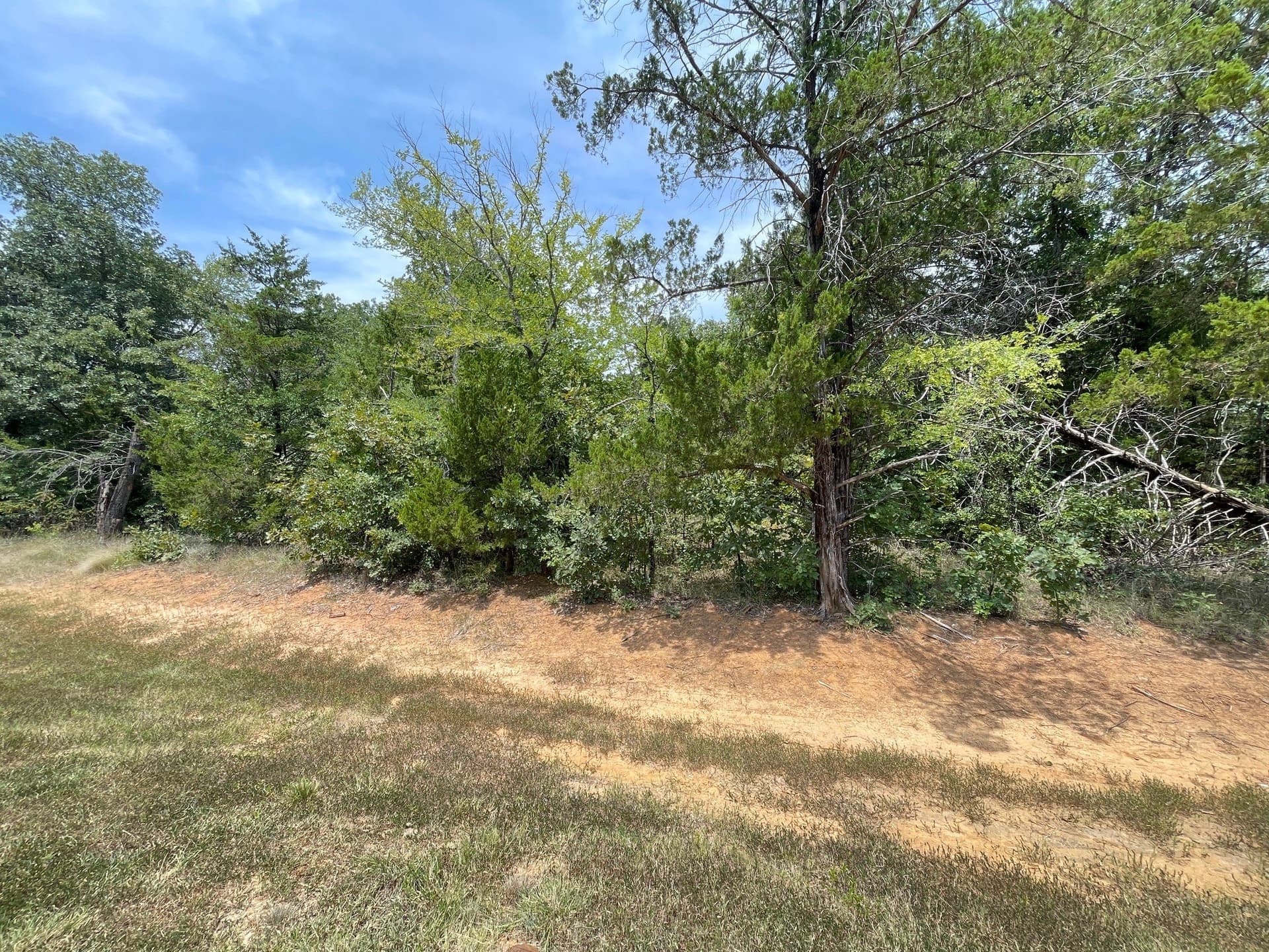 0.2 acres in Grayson County - photo 3