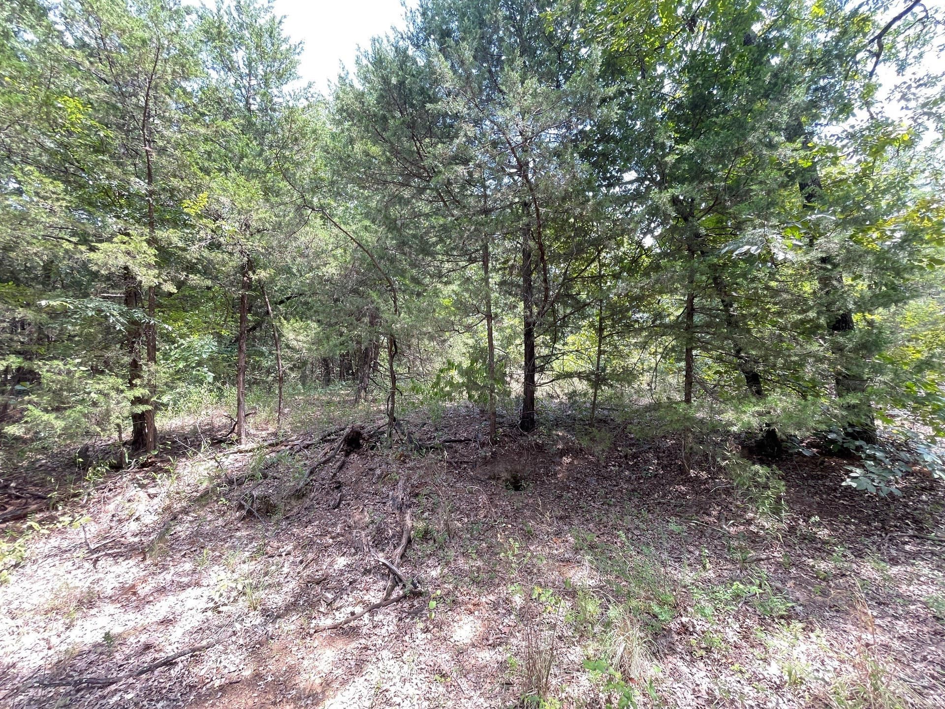 0.2 acres in Grayson County - photo 6