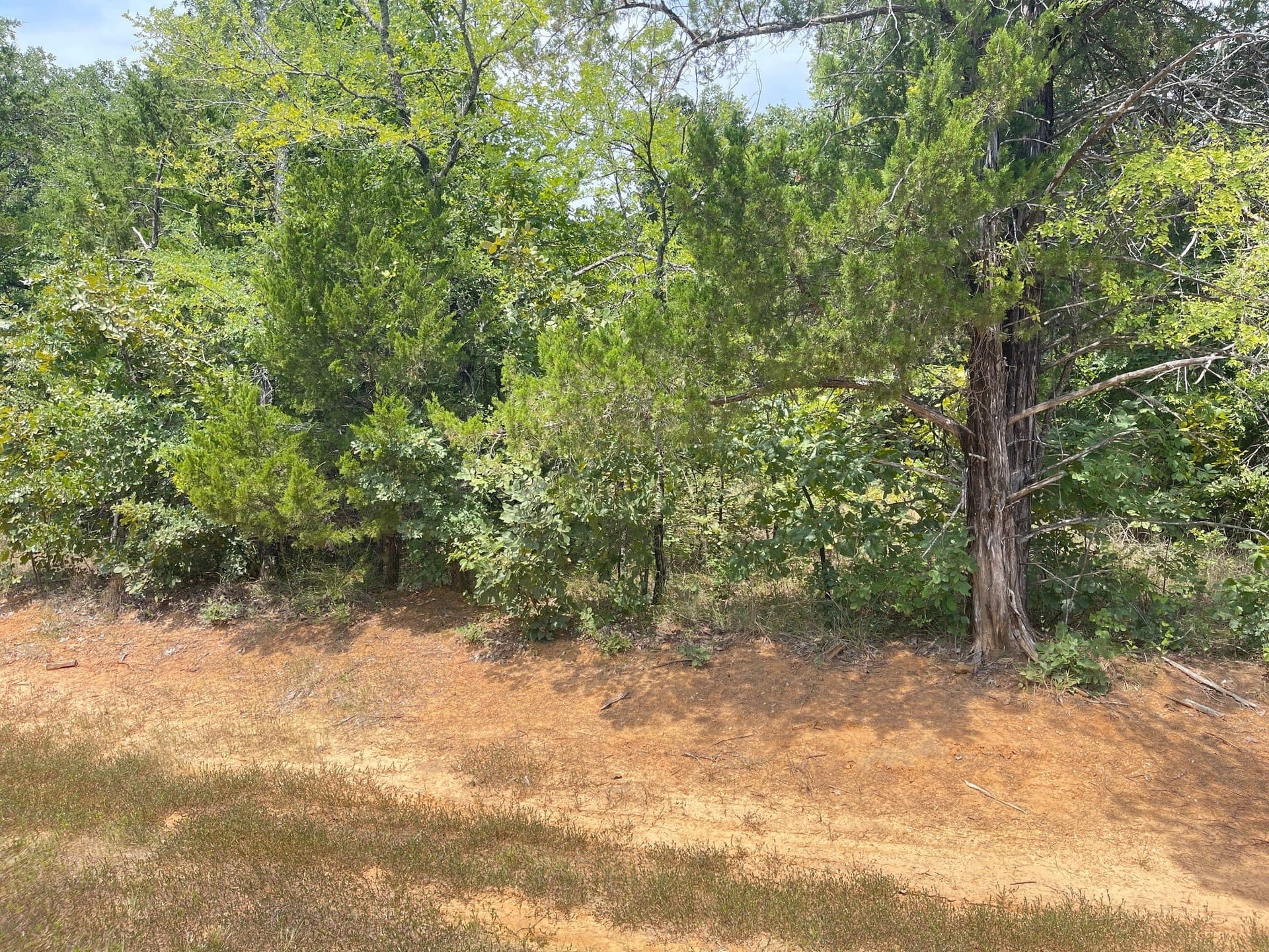 0.2 acres in Grayson County - photo 2