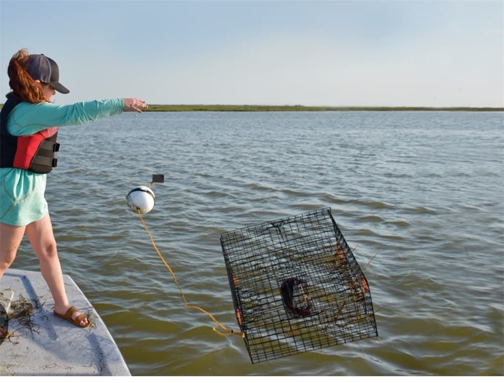 47,742 acres in Aransas County - photo 35