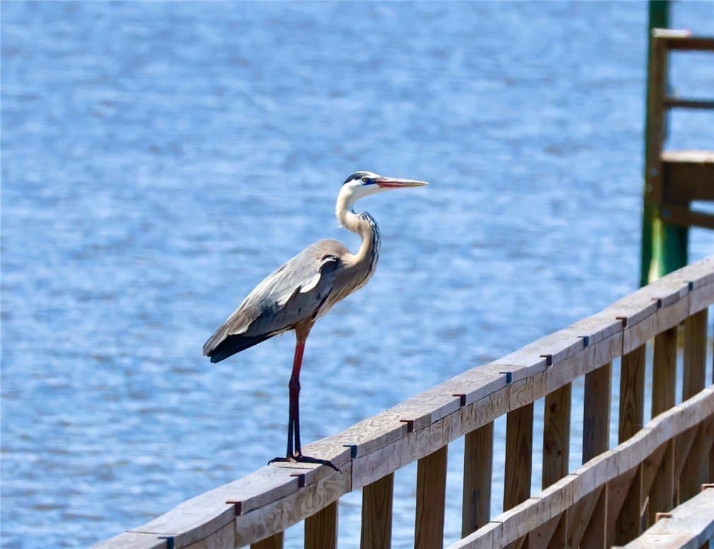 47,742 acres in Aransas County - photo 34