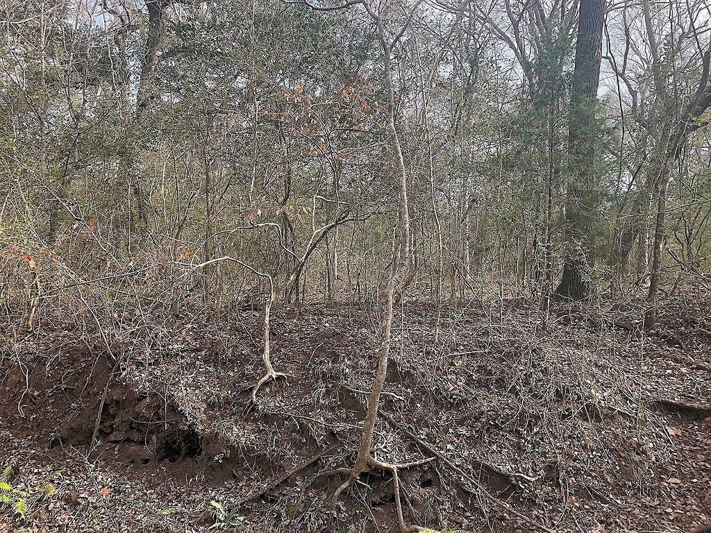 22.5 acres in Lavaca County - photo 3