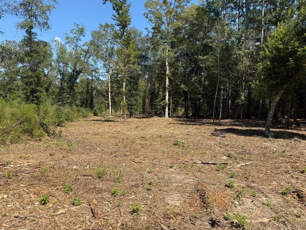 14 acres in Polk County gallery image 2