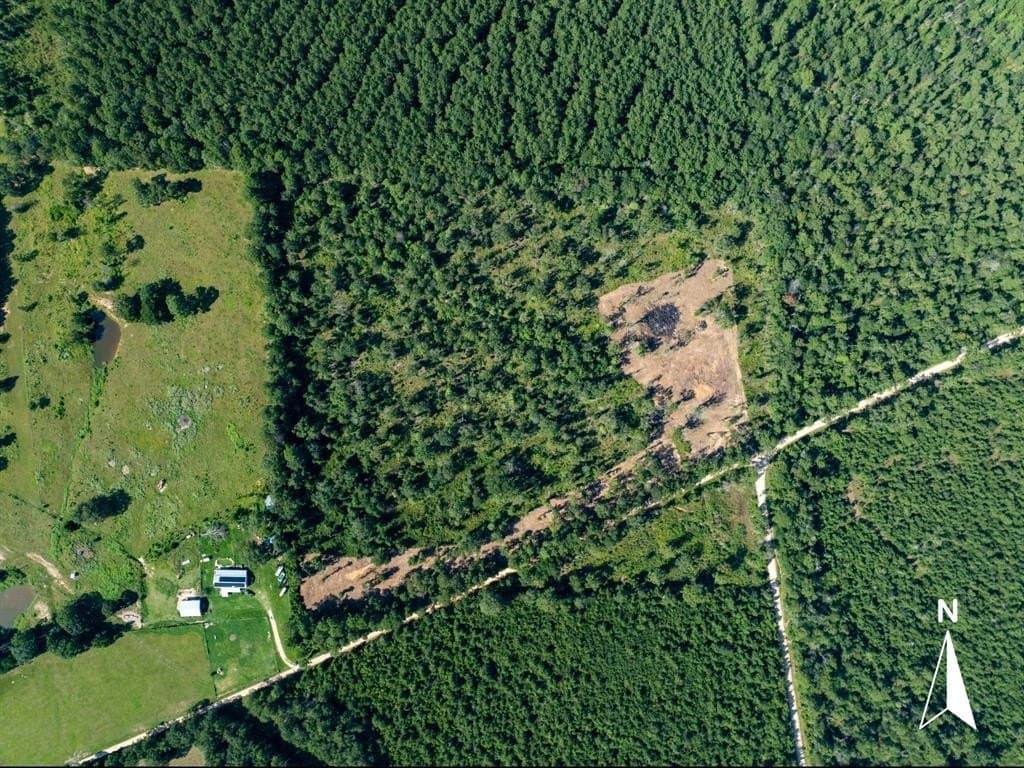 14 acres in Polk County featured view