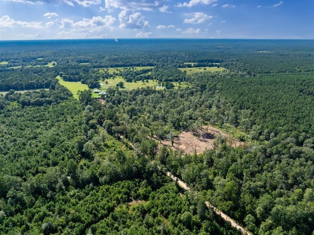 14 acres in Polk County gallery image 3