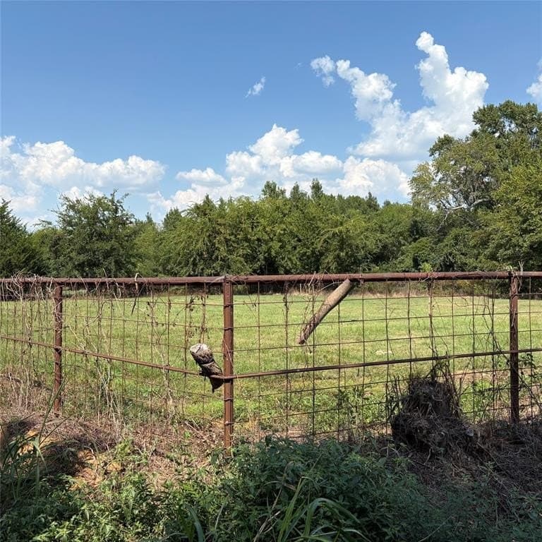 35.39 acres in Wood County gallery image 3