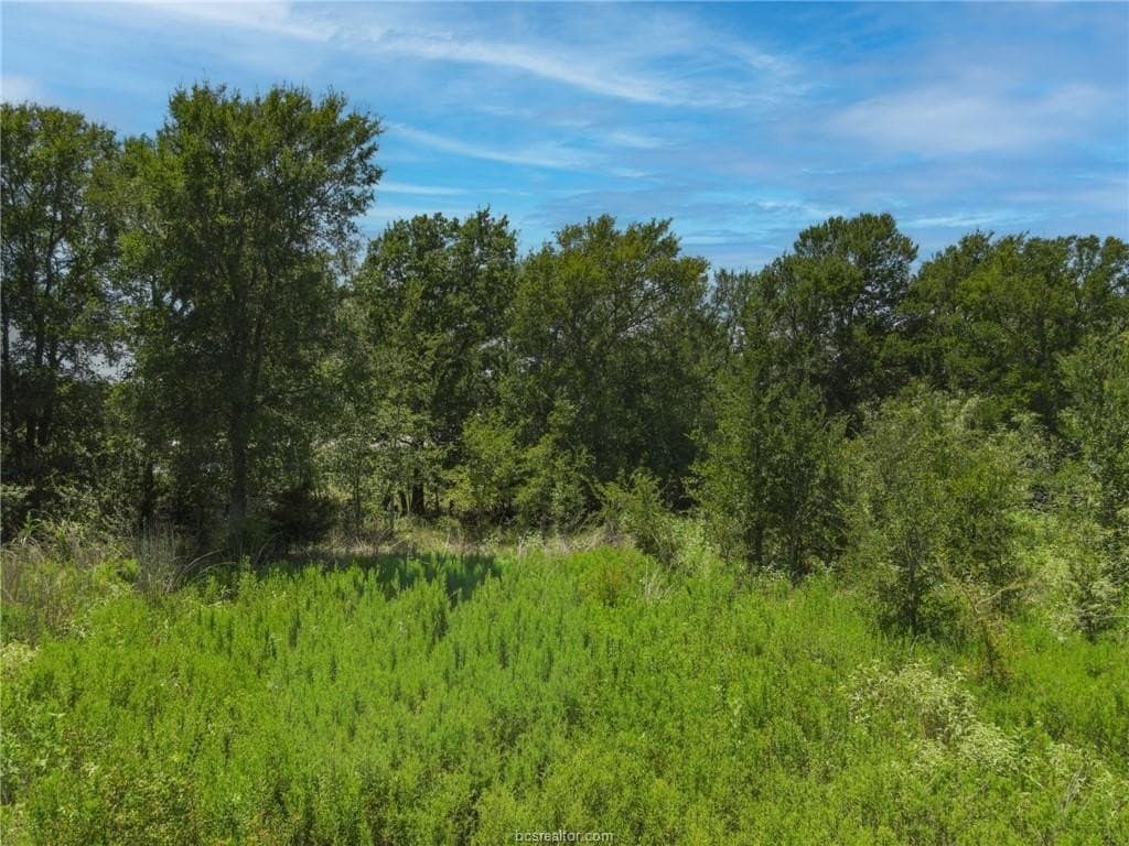 0.25 acres in Burleson County - photo 13