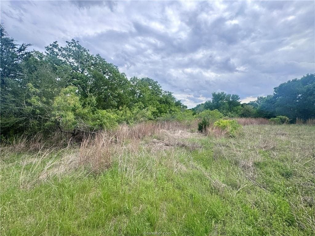 0.25 acres in Burleson County featured view