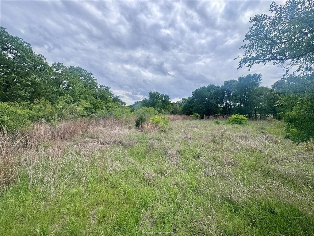 0.25 acres in Burleson County gallery image 3