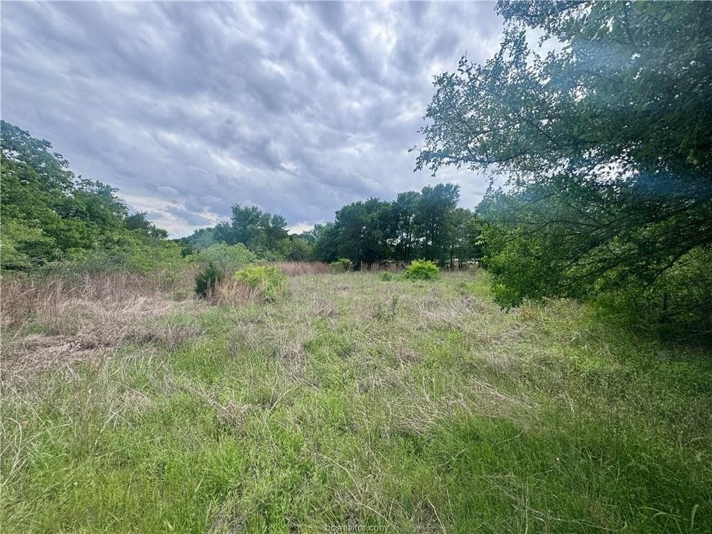 0.25 acres in Burleson County gallery image 4