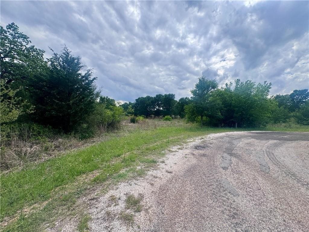 0.25 acres in Burleson County - photo 11