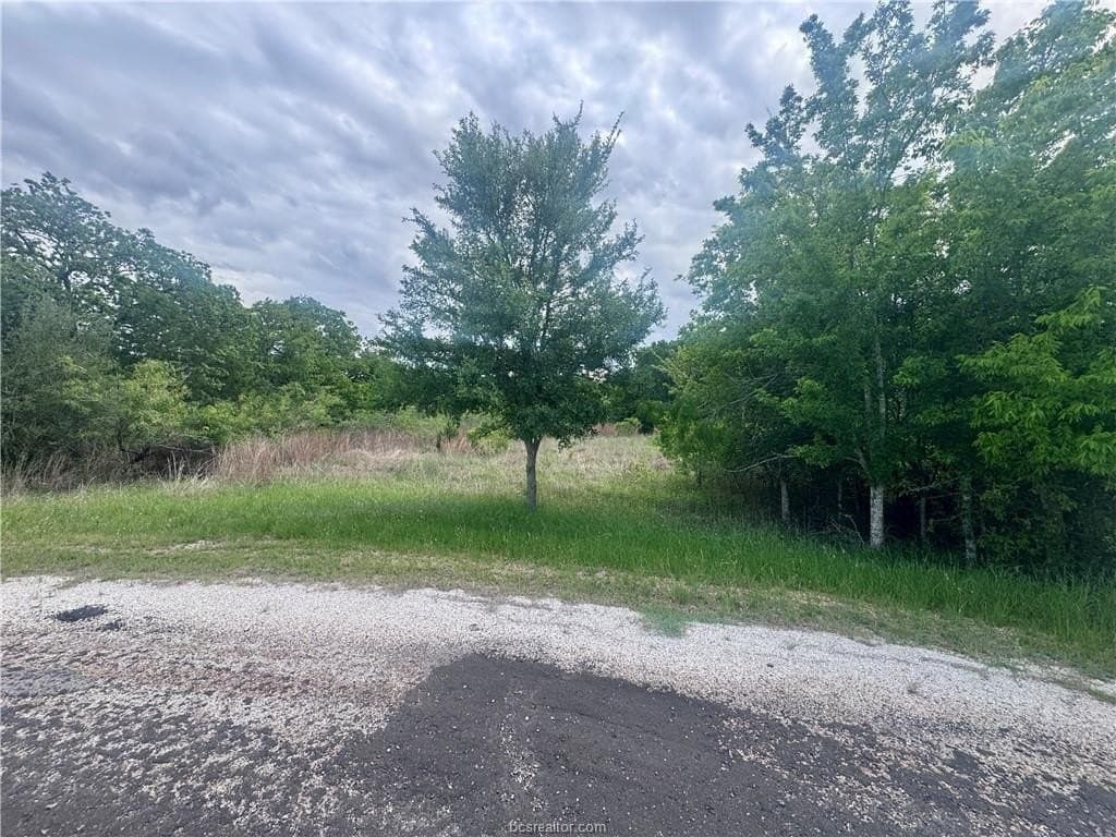 0.25 acres in Burleson County gallery image 2