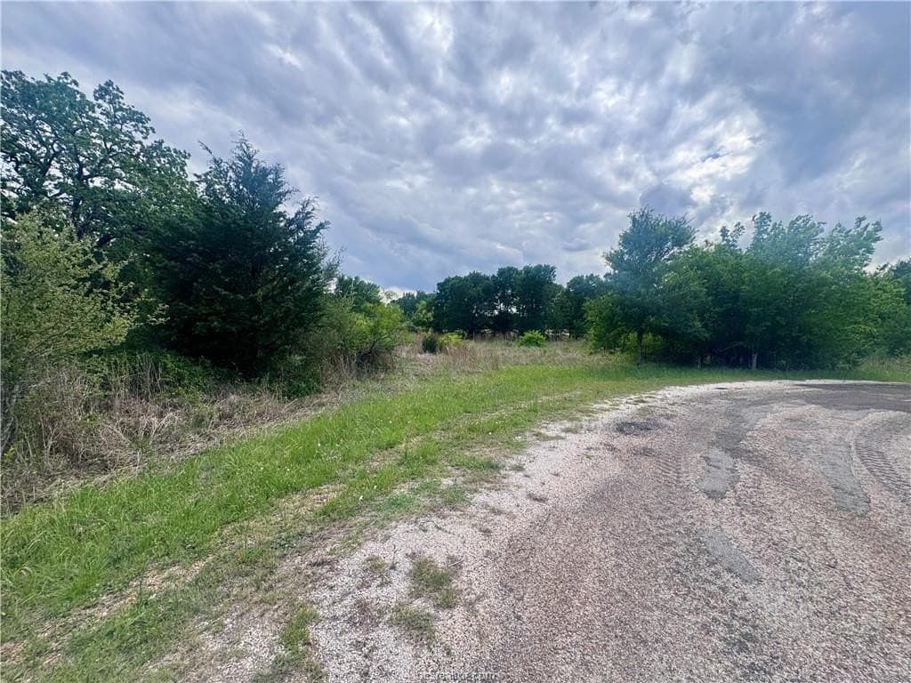 0.25 acres in Burleson County - photo 10