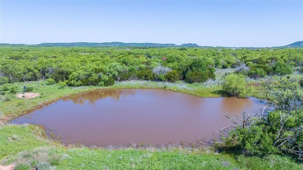 61.12 acres in Taylor County gallery image 4