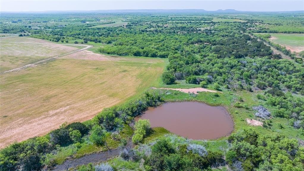 61.12 acres in Taylor County