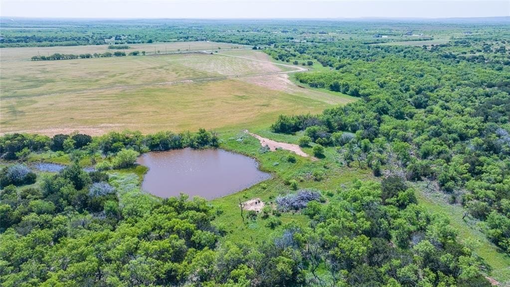 61.12 acres in Taylor County gallery image 2