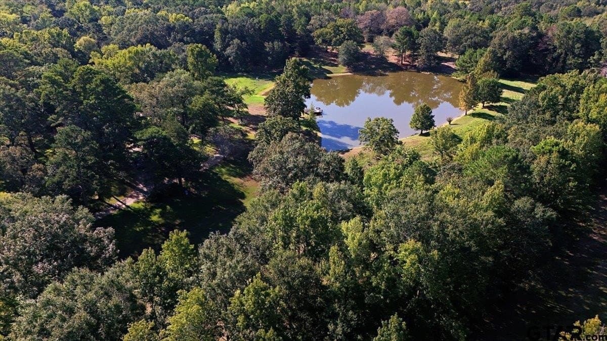13 acres in Wood County - photo 40