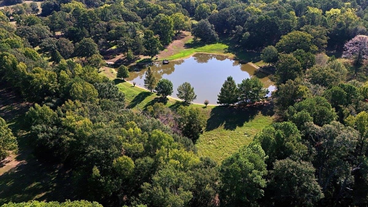 13 acres in Wood County - photo 42