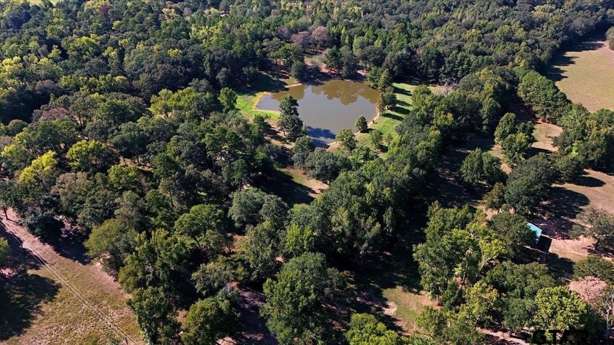 13 acres in Wood County - photo 45
