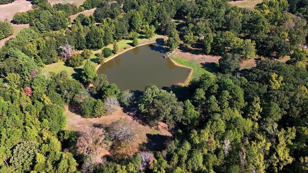 13 acres in Wood County - photo 44