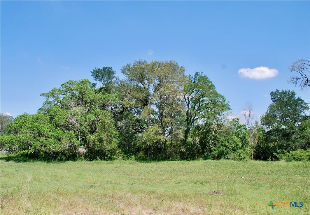 12.42 acres in Colorado County - photo 17