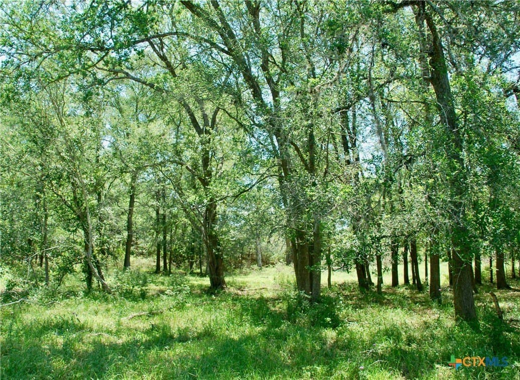 12.42 acres in Colorado County - photo 18