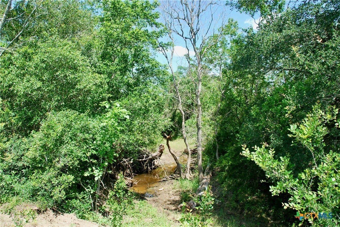 12.42 acres in Colorado County - photo 19