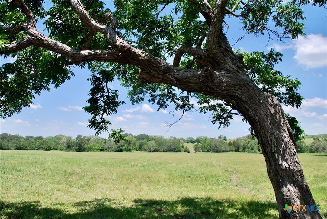 12.42 acres in Colorado County gallery image 4