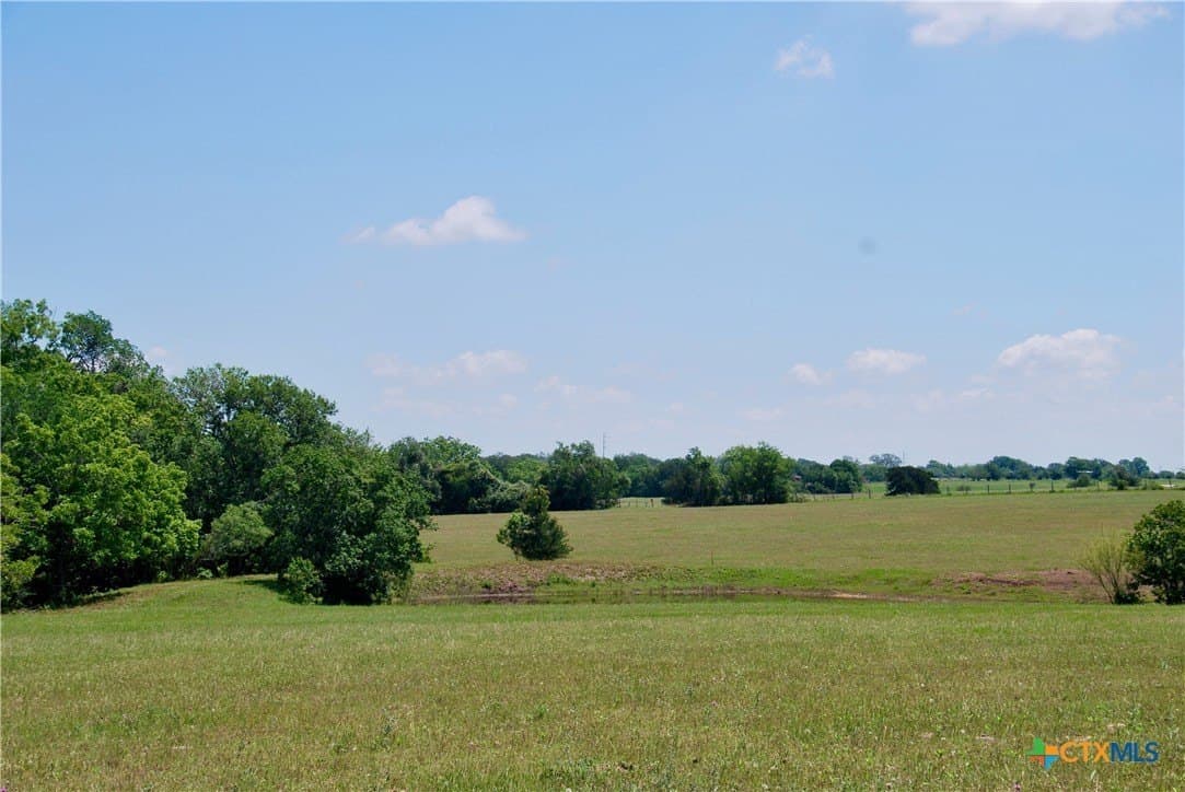 12.42 acres in Colorado County - photo 6