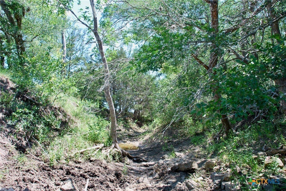 12.42 acres in Colorado County - photo 22