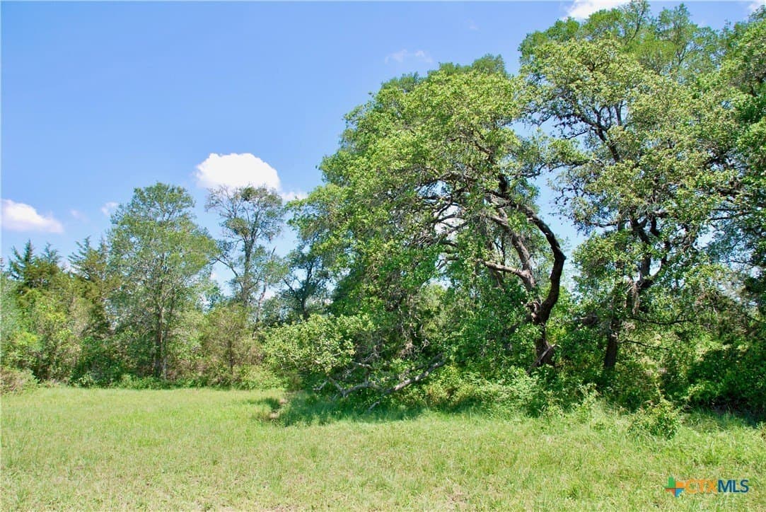 12.42 acres in Colorado County - photo 20