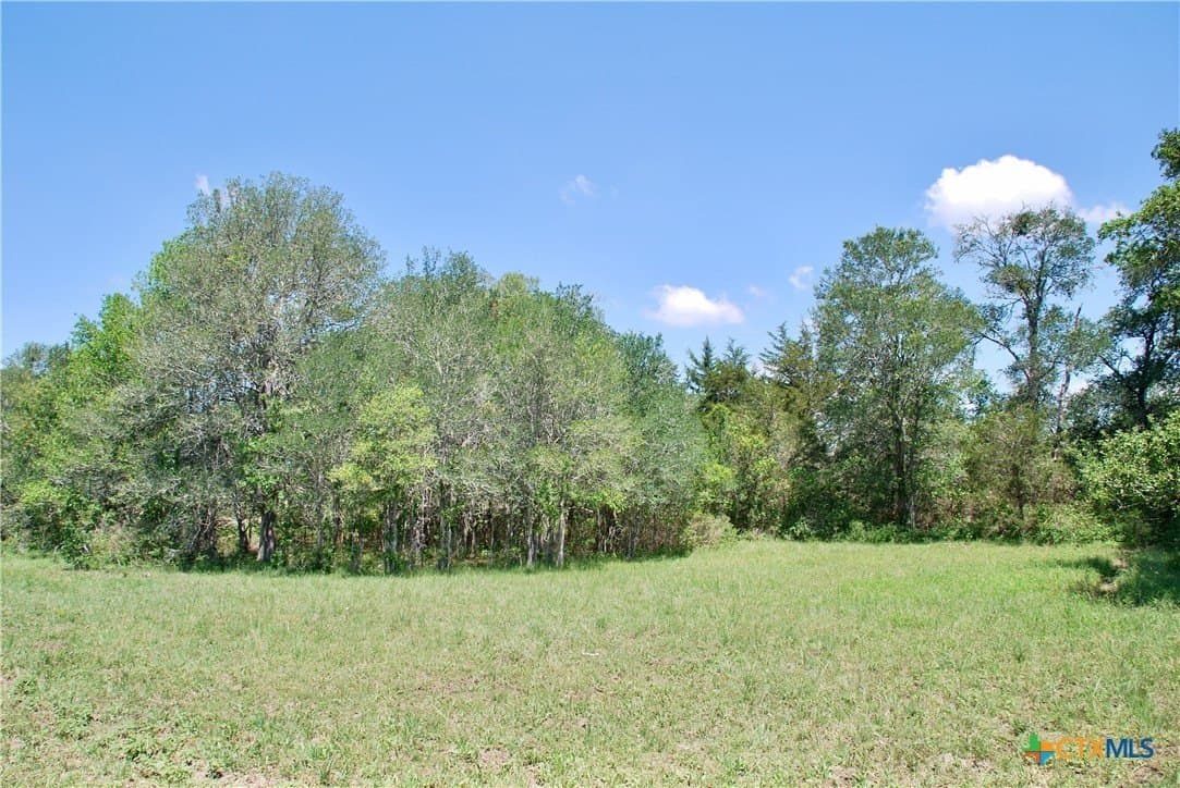 12.42 acres in Colorado County - photo 21