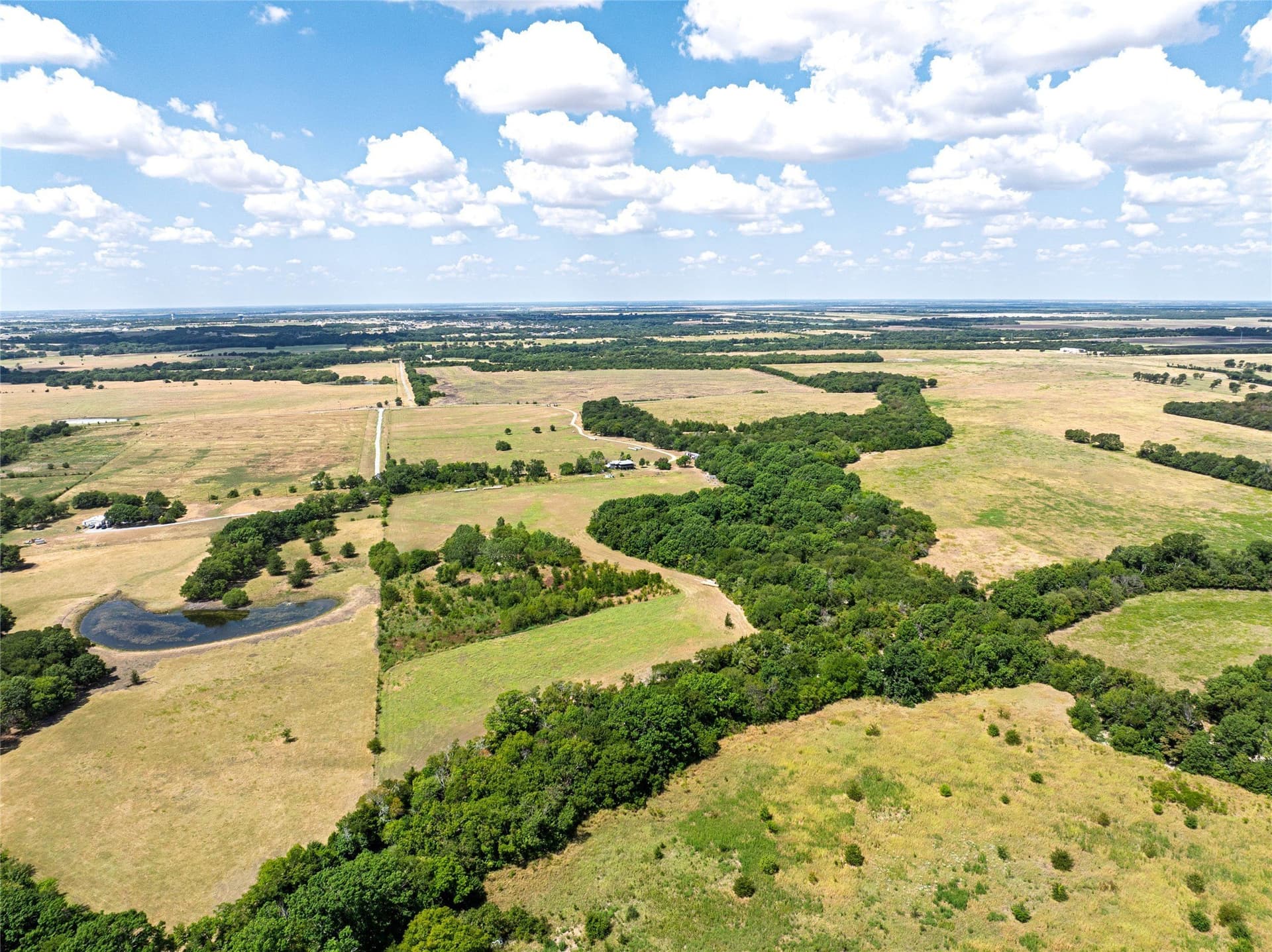 53.3 acres in Grayson County - photo 11