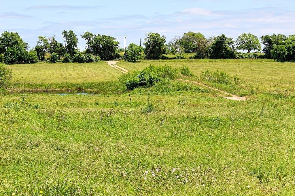 14.98 acres in Fayette County - photo 5