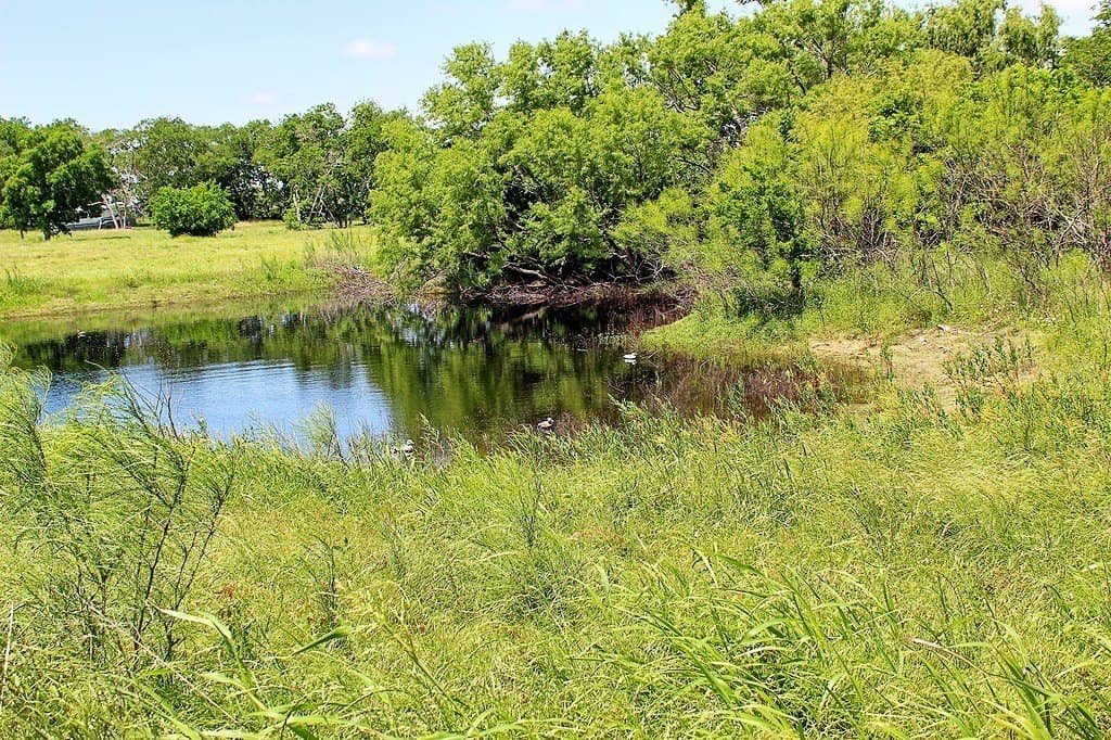 14.98 acres in Fayette County - photo 6