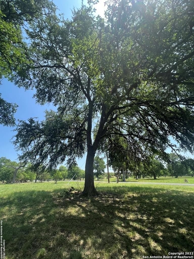 3.58 acres in Kerr County - photo 8
