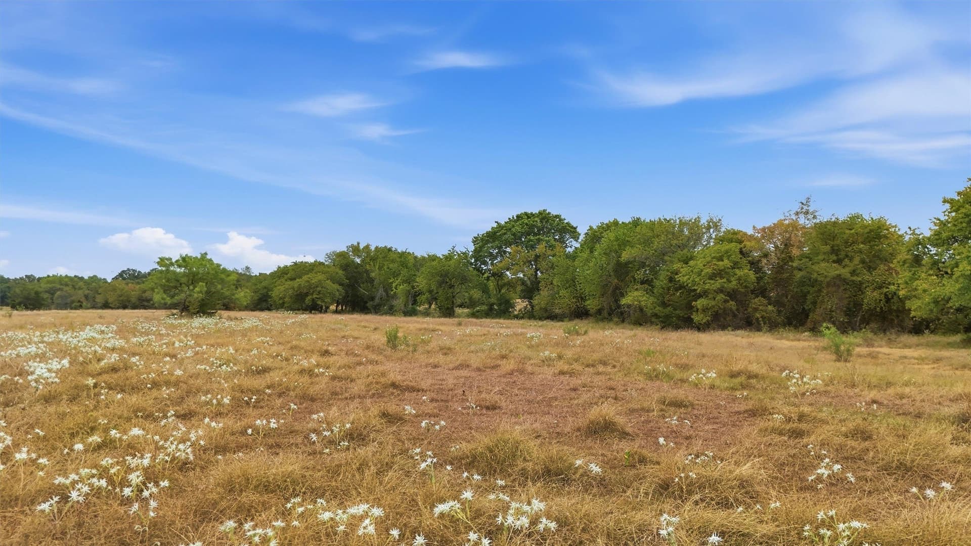 163 acres in Grayson County - photo 23