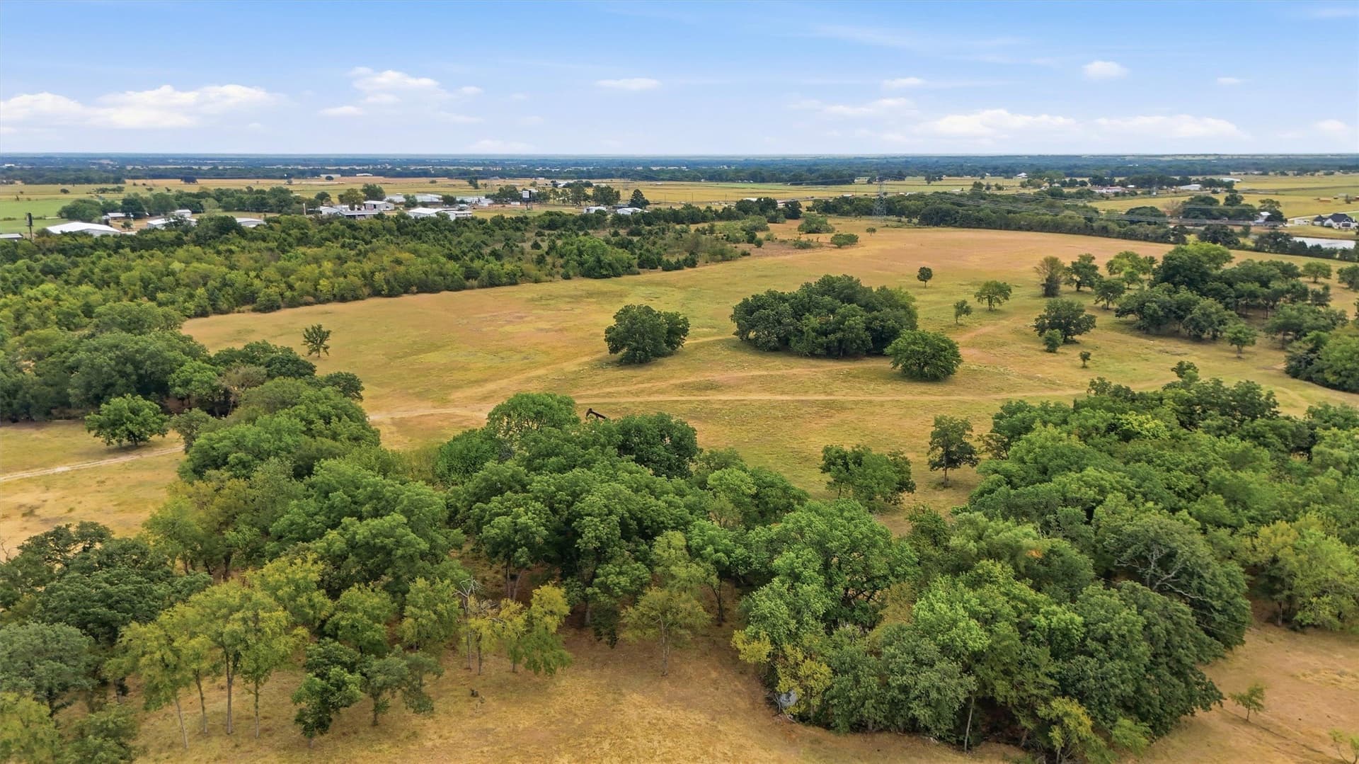 163 acres in Grayson County - photo 16