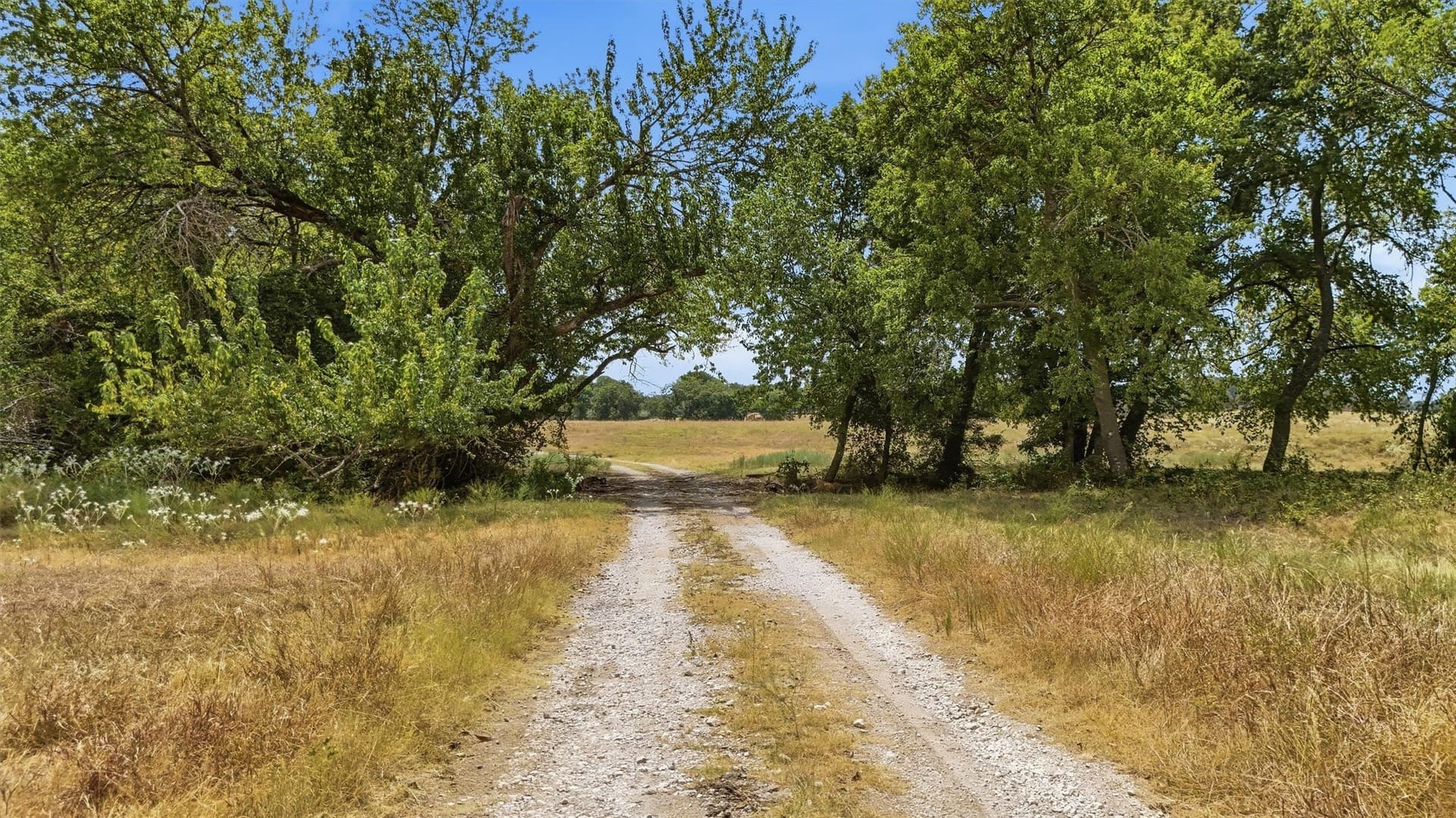 163 acres in Grayson County - photo 30
