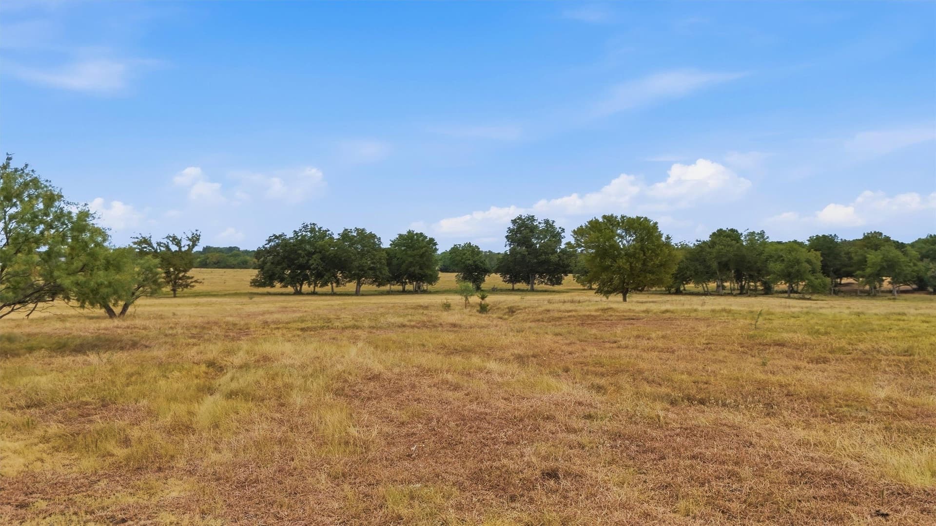 163 acres in Grayson County - photo 26