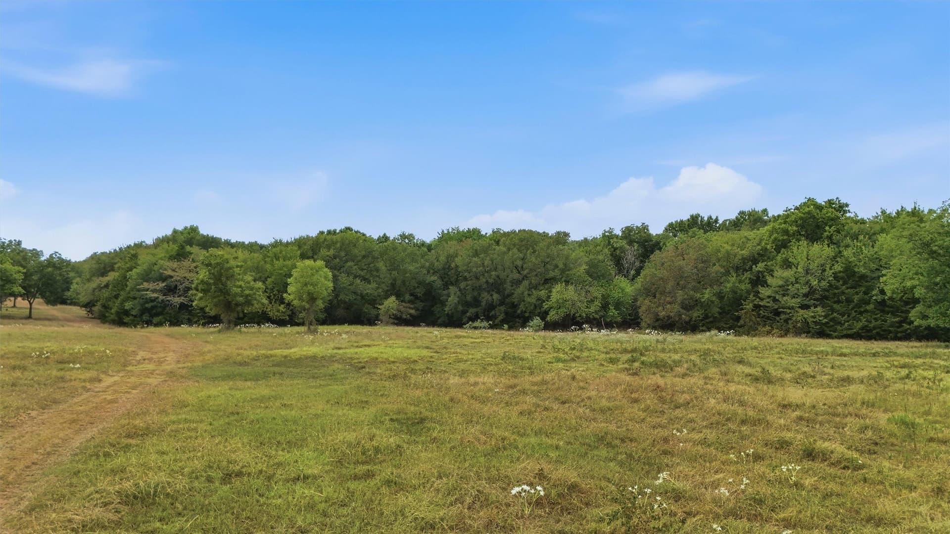 163 acres in Grayson County - photo 28