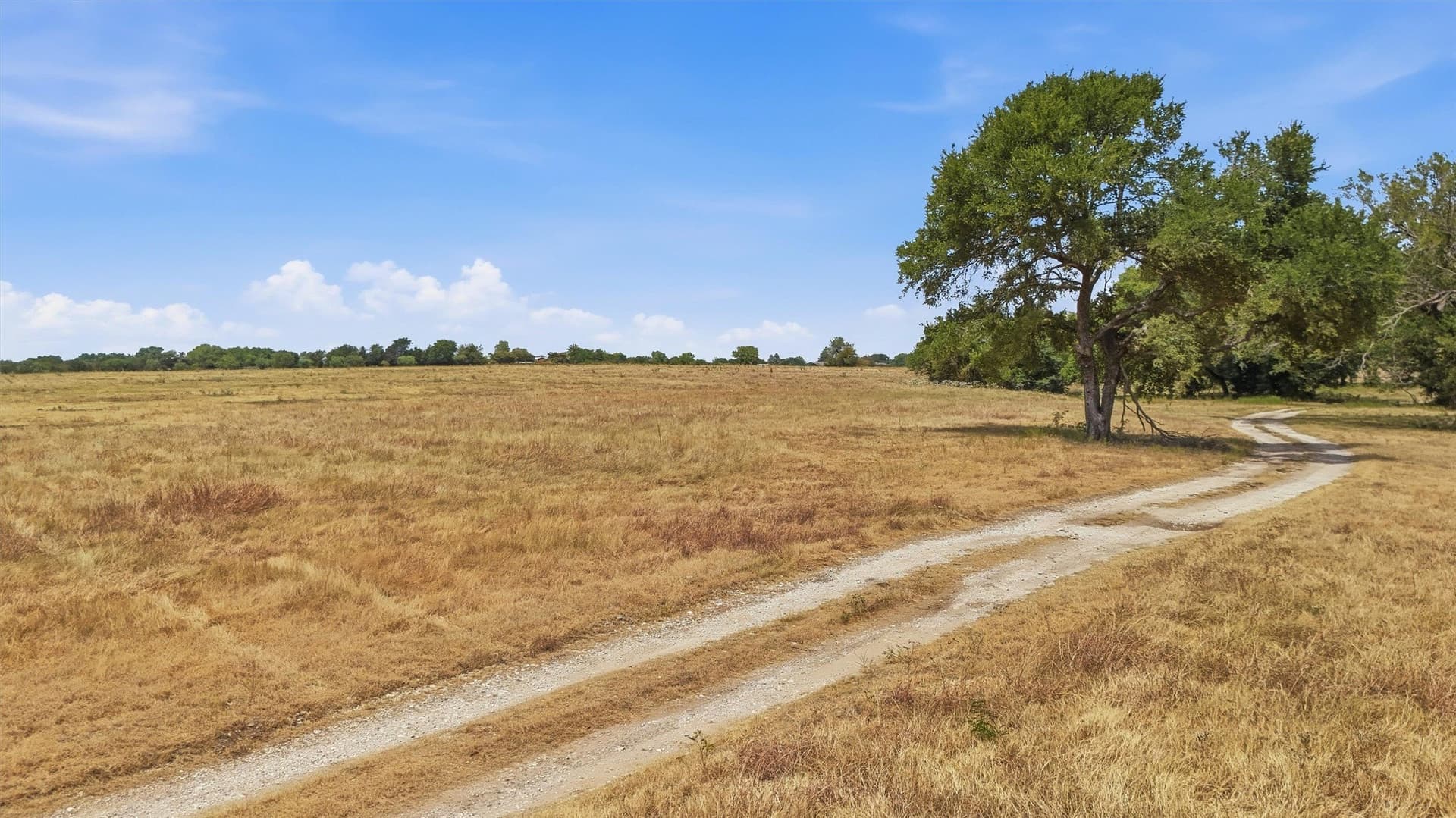 163 acres in Grayson County - photo 32