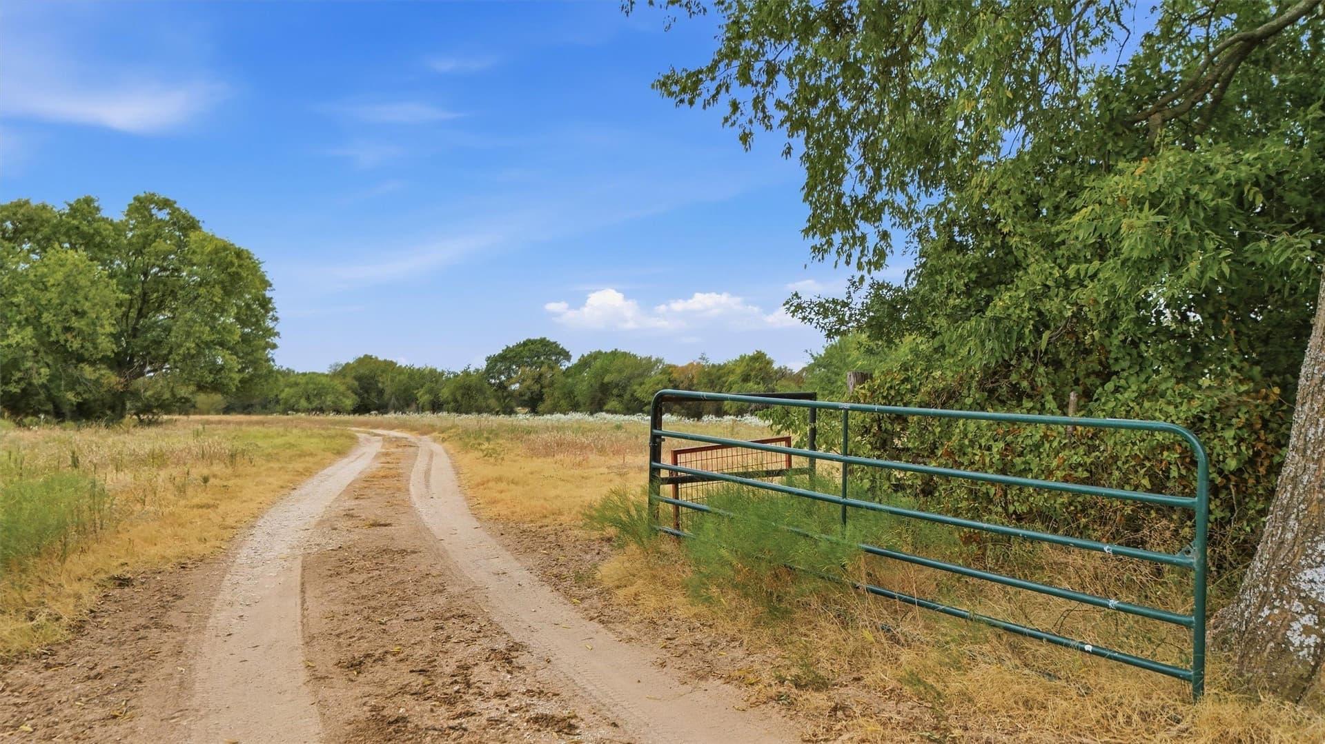 163 acres in Grayson County - photo 20