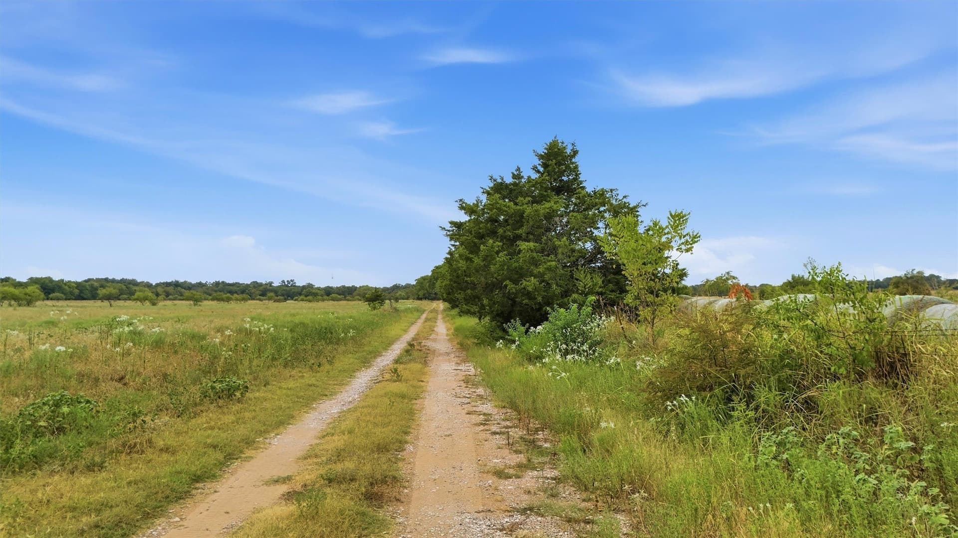 163 acres in Grayson County - photo 21