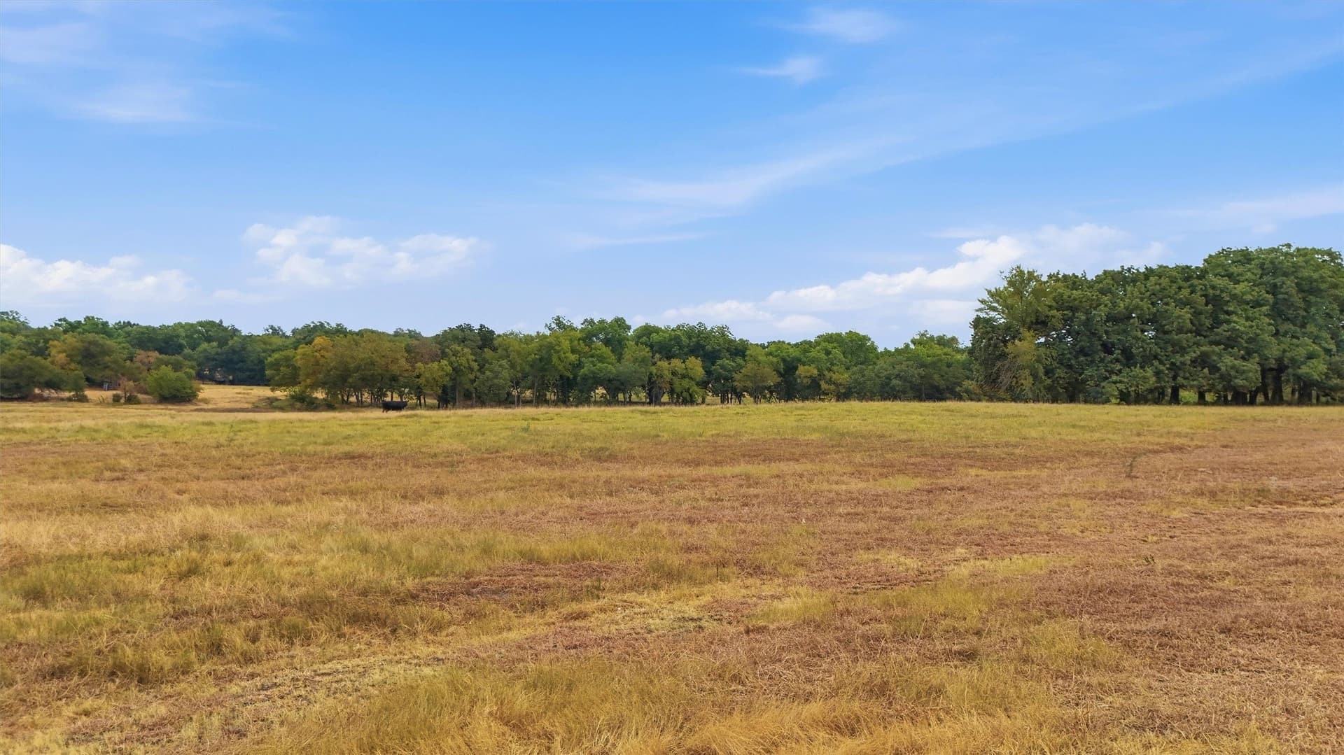 163 acres in Grayson County - photo 25