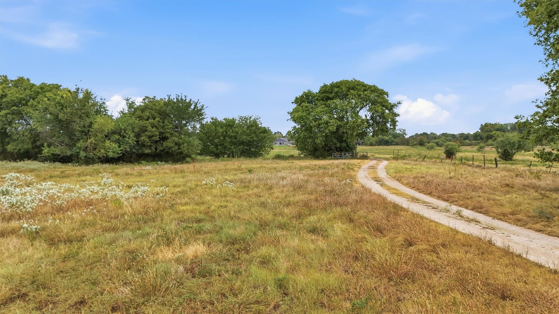 163 acres in Grayson County - photo 13