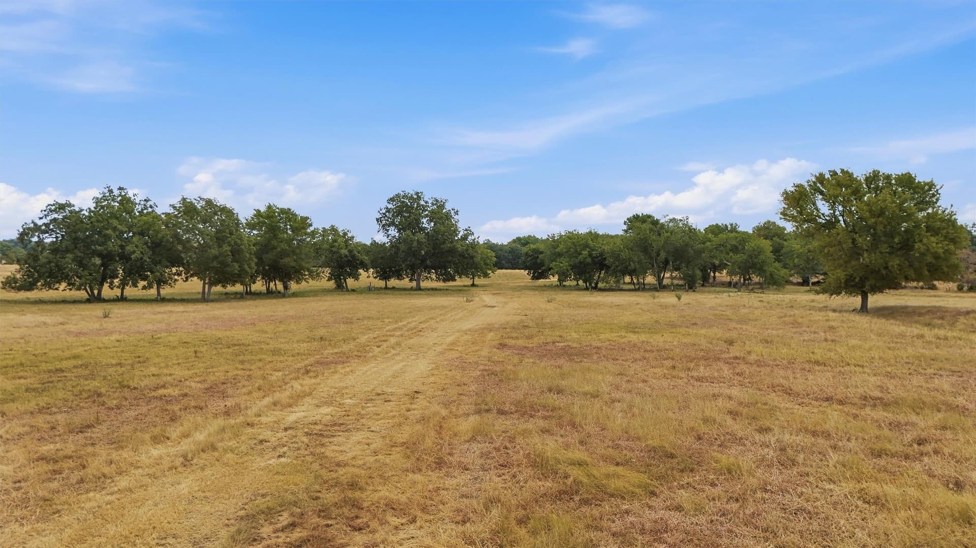 163 acres in Grayson County - photo 24