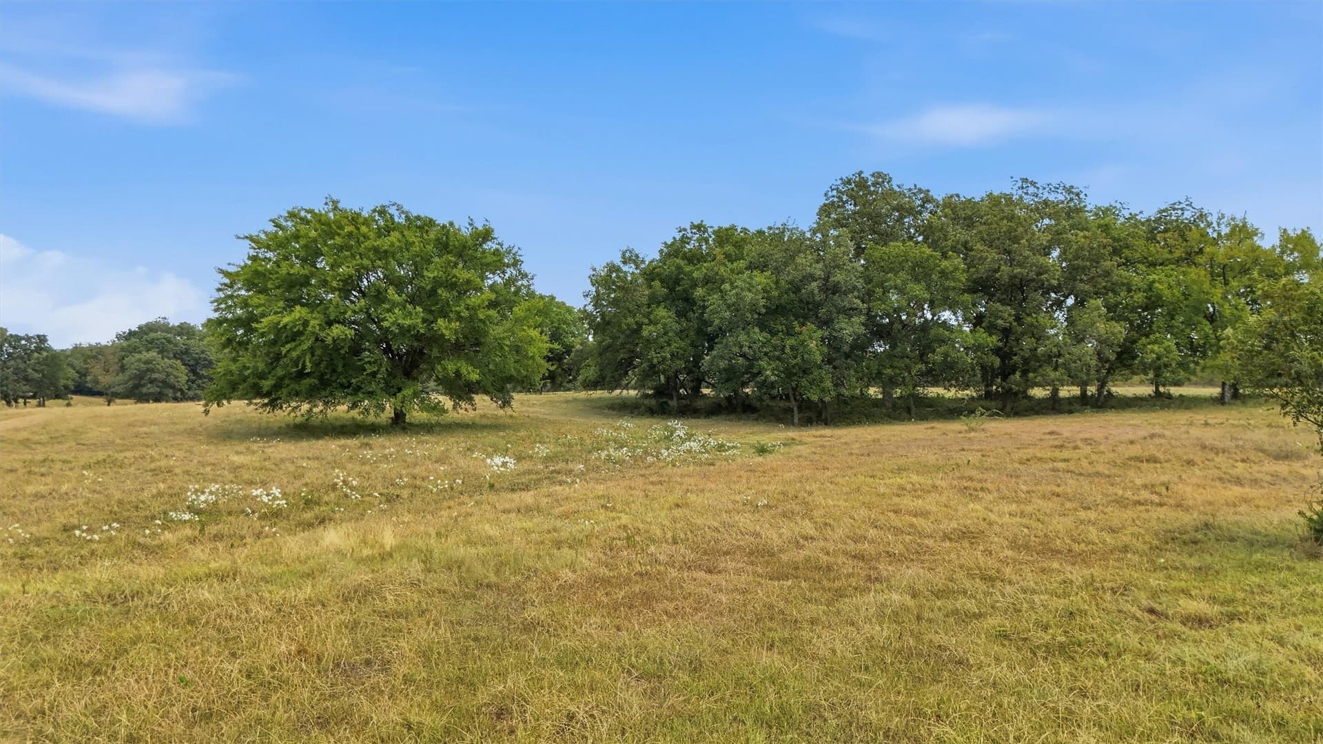 163 acres in Grayson County - photo 29
